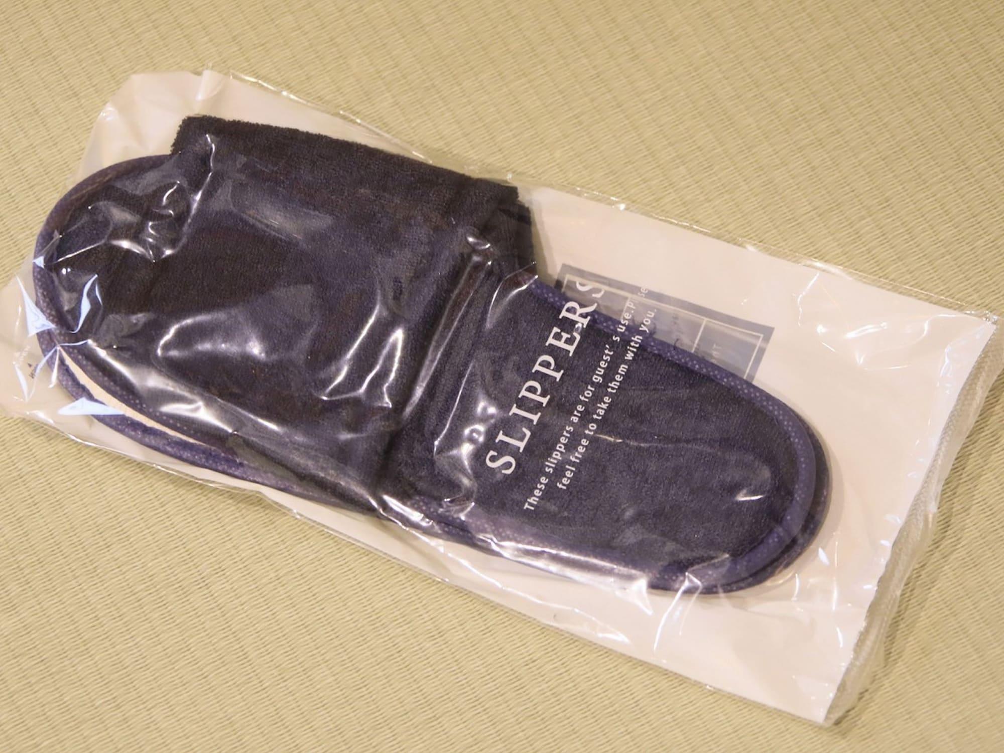 Hotel Asakusa Hatago Präfektur Tokio